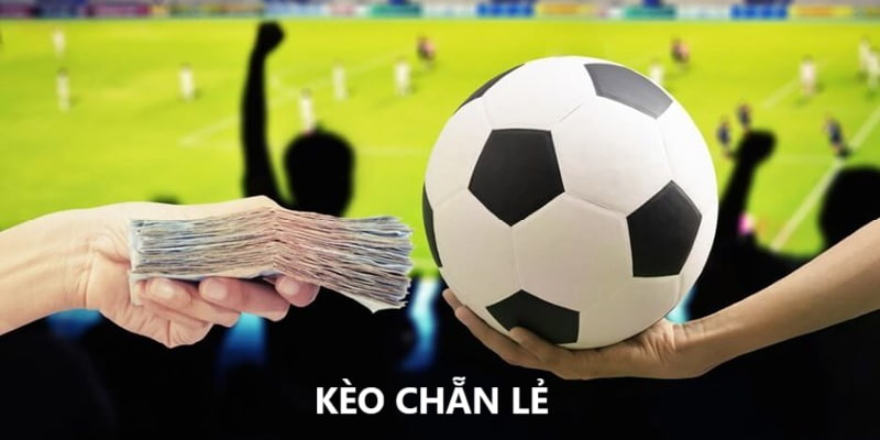 Kèo Chẵn Lẻ Là Gì? Kinh Nghiệm Cược Thắng Lớn Đến 99%